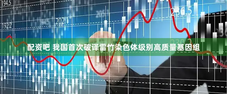 配资吧 我国首次破译雷竹染色体级别高质量基因组