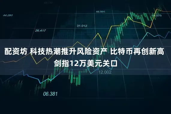 配资坊 科技热潮推升风险资产 比特币再创新高 剑指12万美元关口